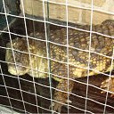 ���� �������, ������������ - ��������� 2 ���� 2010 � ������ �������