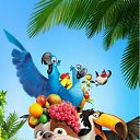  ,  , 23  -  12  2011   