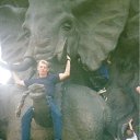 ���� ��������, ������, 52 ���� - ��������� 24 ����� 2011 � ������ ���� ����������