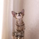 ���� Tatjana, ������, 64 ���� - ��������� 14 ���� 2012 � ������ ���� ����������