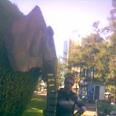 ���� ������, �������, 44 ���� - ��������� 29 ������� 2010