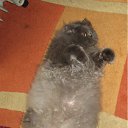 ���� ����, ������, 33 ���� - ��������� 15 ������ 2012 � ������ ���� ������� ������ =)�