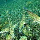 ���� �����, ���������, 48 ��� - ��������� 21 ������� 2012 � ������ ���� ����������