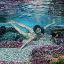 ���� �����, ����� - ��������� 24 ������ 2010 � ������ ����� �����