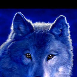 ���� �����, ������-��-����, 70 ��� - ��������� 3 ���� 2011