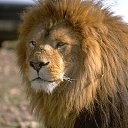 ���� ������, �������, 41 ��� - ��������� 15 ������� 2011 � ������ ���� ����������