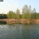 ���� ����, ������, 40 ��� - ��������� 11 ��� 2009 � ������ �������