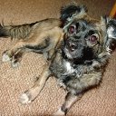 ��� ������ ����� �� ������� ����� ��� ������������