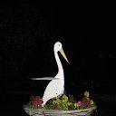 ���� � ����������� �� ������� �����������Ż