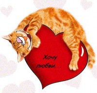 ���� ����, ������, 39 ��� - ��������� 14 ������ 2011