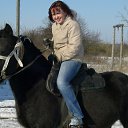 ���� �����, �����������, 41 ��� - ��������� 17 ������� 2011