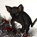 ���� ������, �����-���������, 47 ��� - ��������� 16 ������ 2011 � ������ ������� 2011�