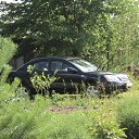 ���� �����, ������������, 115 ��� - ��������� 2 ���� 2013 � ������ ���� ����������