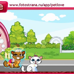 ���� �����, �����������, 23 ���� - ��������� 16 ������� 2011