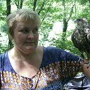 ���� �����, �����-���������, 53 ���� - ��������� 29 ���� 2013 � ������ ���� ����������