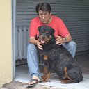 ���� ������, ����������� - ��������� 21 ������ 2012