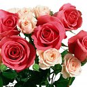 ���� ~Ann&ramosh~, ���������� - ��������� 29 �������� 2009 � ������ ������!!!)�