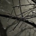 ���� �����, ���������, 60 ��� - ��������� 4 ������� 2012 � ������ ���� ����������