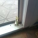 ���� ���������, �����������, 43 ���� - ��������� 11 ������ 2012 � ������ �_.-;(*,!,*);-,_�