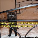 ���� ����, �����, 50 ��� - ��������� 8 ���� 2010 � ������ ������������