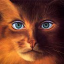 ���� �������, �������, 43 ���� - ��������� 2 ��� 2012 � ������ �������