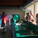   ( 😃),  -  1  2011   