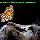 ���� �������, ���������, 57 ��� - ��������� 4 ������� 2010 � ������ �������� �������Ż
