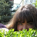 ���� ��������, ������ - ��������� 12 ������� 2009 � ������ �� ���������))�