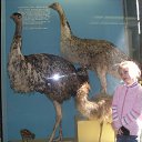 ���� ���, ��������, 30 ��� - ��������� 11 ���� 2013 � ������ ���� ����������