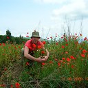 Love is in everything