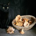���� ����, ������, 50 ��� - ��������� 15 ������ 2012 � ������ �������