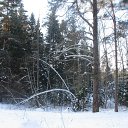 ���� ������, �����-���������, 66 ��� - ��������� 1 ������ 2012 � ������ ����� 2012 ����.�