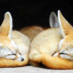 ���� ������� ��, �����-���������, 45 ��� - ��������� 8 ������� 2012