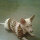 ���� �����, �����-���������, 57 ��� - ��������� 14 ������ 2012 � ������ ���� ����������