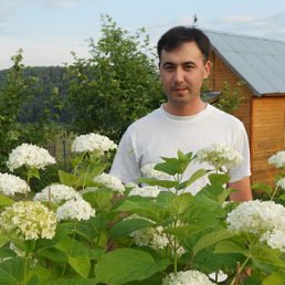 ������, ���������, 39 ���