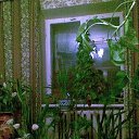 � ���� ������� �� ������� ���Ż