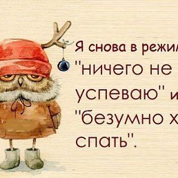 ����, ��������