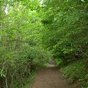 ���� ������, ���������, 36 ��� - ��������� 10 ���� 2013 � ������ �������� ����� �����