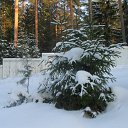 ���� ������, �����-���������, 66 ��� - ��������� 1 ������ 2012 � ������ ����� 2012 ����.�