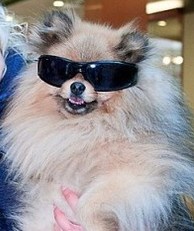 ���� �����, �����������, 57 ��� - ��������� 26 �������� 2012