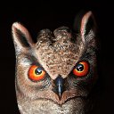 ���� �������, ������, 41 ��� - ��������� 27 ������� 2009 � ������ ���������� ����-���