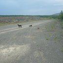 ���� &deg;&bull;*������&deg;&bull;*, ����������, 23 ���� - ��������� 15 ��� 2010 � ������ ���� ��������