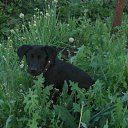 � ������ �p�����!
�p���� ����y���... 
����� �� ���p����, 
H���� �� �������. 
��� � �������, 
���� ��� ��y������,
� p��y �� ��p����. 
Hy... H� ���y������. 
��p��, ���� � ����p�� 
�� ���p� �y���, 
��, ��� ���� ��������, 
����� �������. 
� ��������� �������� 
� ������ �py���. 
����p�� ������! � ����!! � y���!!! 
� ����y�� �������� 
� ������ �y������ 
H� �������� �������� 
����y ���������! �� ������� �...���� ���������...�