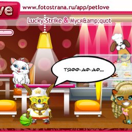 ���� �������, ���������, 48 ��� - ��������� 4 ������ 2011