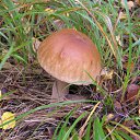 ���� �������, ���������, 24 ���� - ��������� 6 ������� 2011 � ������ ��������!!!�