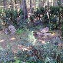 ���� ���������, ����, 65 ��� - ��������� 28 ���� 2012 � ������ �����