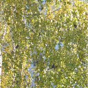 ���� �����, ����� - ��������� 25 ��� 2011 � ������ ����� �� ���� �����