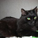 ���� ����������, ������, 62 ���� - ��������� 19 ������� 2009 � ������ ���� �����