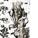 ���� �������, ������������ - ��������� 9 ������� 2011 � ������ ���������� ����