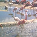 ���� ������, ���������, 41 ��� - ��������� 13 ���� 2011 � ������ ��������� �� ������